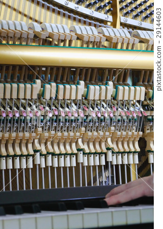 Piano tuning 29144603