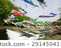 Carp streamer 29145041