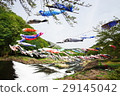 Carp streamer 29145042