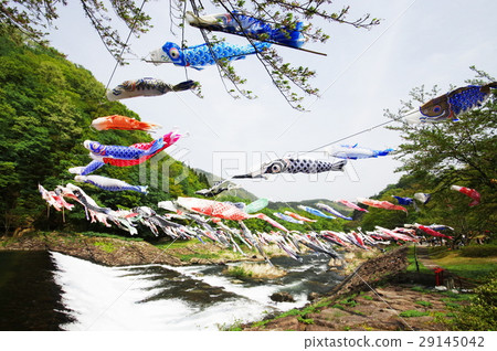 鯉魚旗 29145042