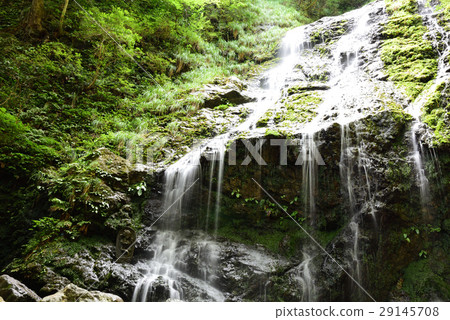 Flying dragonfall / Sayo-cho 29145708