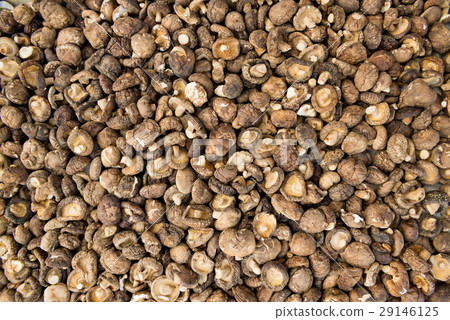 Shiitake mushroom 29146125