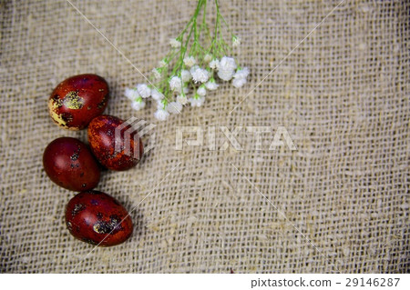 Easter eggs on a beautiful background Easter eggs on a beautiful background 29146287