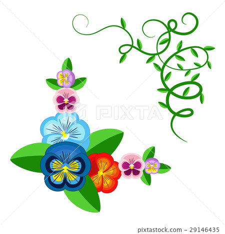 Pansy flowers and green plants frame. 29146435