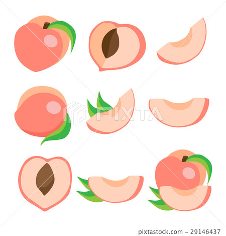 Vector set of peaches. Vector set of peaches. 29146437