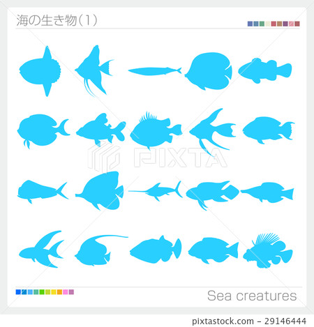 Sea creature silhouette 29146444