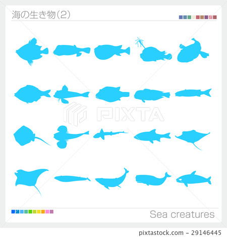 海生物剪影 29146445