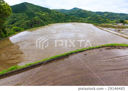 Large Nakao Rice Terrace Waterfall Landscape 29146485