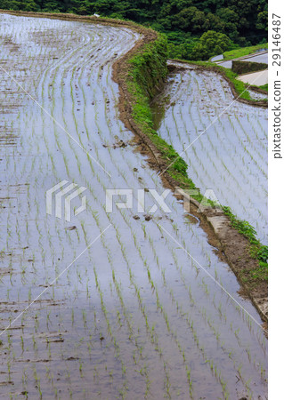 Large Nakao Rice Terrace Waterfall Landscape 29146487