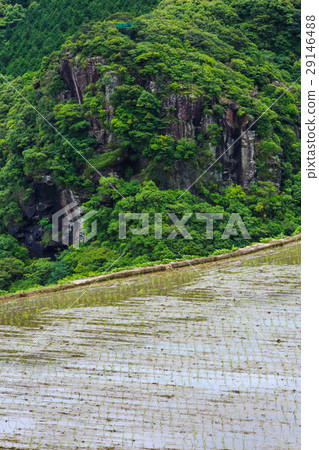 Large Nakao Rice Terrace Waterfall Landscape Large Nakao Rice Terrace Waterfall Landscape 29146488