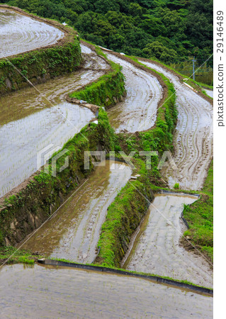 Large Nakao Rice Terrace Waterfall Landscape 29146489