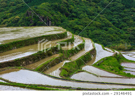 Large Nakao Rice Terrace Waterfall Landscape Large Nakao Rice Terrace Waterfall Landscape 29146491