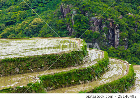 Large Nakao Rice Terrace Waterfall Landscape 29146492