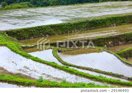 Large Nakao Rice Terrace Waterfall Landscape Large Nakao Rice Terrace Waterfall Landscape 29146493