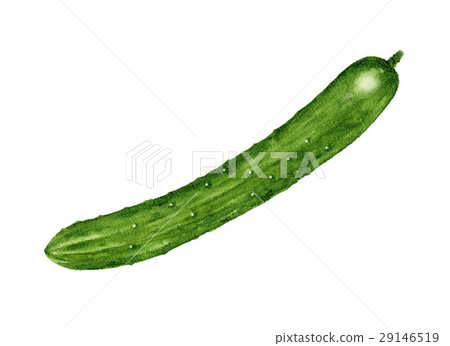 菜例證黃瓜 29146519