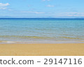 海 29147116