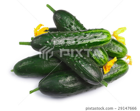 Cucumbers gherkins pile, top view, paths 29147666