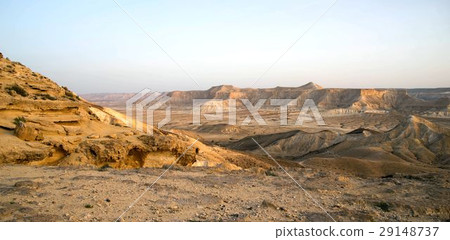 Desert landscape 29148737