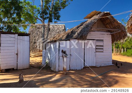 Coffee farm in Cuba 29148926
