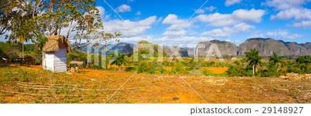 Famous Cuba farmland tobacco area 29148927