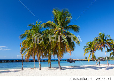 On the beach Playa Giron, Cuba. On the beach Playa Giron, Cuba. 29148931