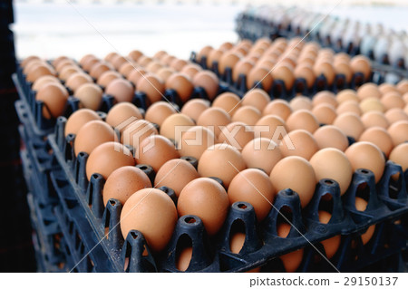 Eggs from hen farm in the package for sale. 29150137