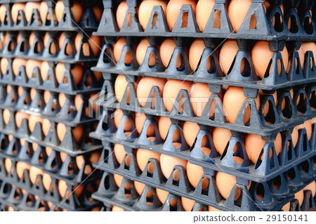 Eggs from hen farm in the package for sale. Eggs from hen farm in the package for sale. 29150141