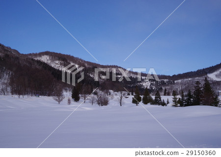 Madarao field in winter 29150360