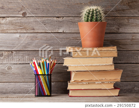 Cactus on old books and colorful pencils 29150872