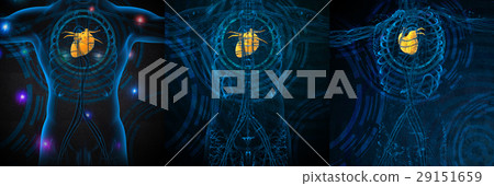 human heart 29151659