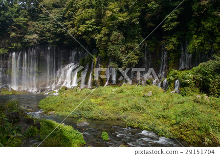 [Shizuoka Prefecture] Shiraito Falls in Autumn 29151704