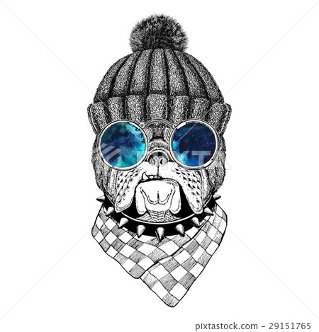 Bulldog Image for tattoo, logo, emblem, badge 29151765