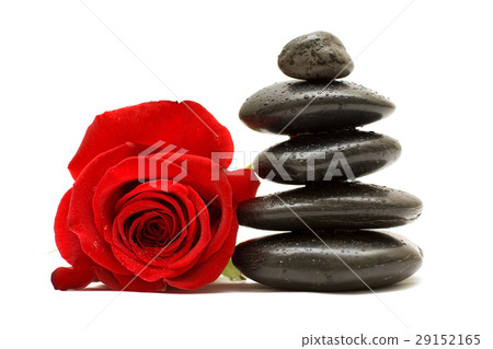Red rose and spa black stones isolated  29152165