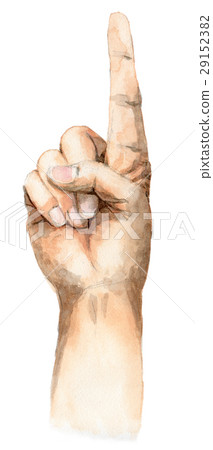 1右手食指 29152382