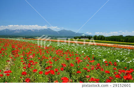 Biei · Furano Biei · Furano 29152601