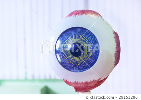 Ophthalmology oculus sample closeup 29153296
