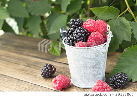 Bucket of blackberry and raspberry Bucket of blackberry and raspberry 29155065