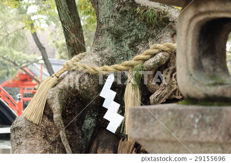 Stone lantern and linen 29155696