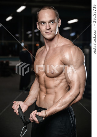 young man train in gym sexy caucasian man young man train in gym sexy caucasian man 29155739