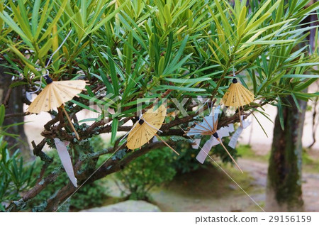 Umbrella tableclothes 29156159