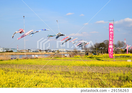 Nakagawa Yoshi flower peach festival 29156263