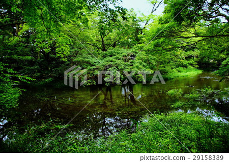 Yasushi-en Garden（奧巴馬）Haya no ye Shizuoka Prefecture Mishima-shi Ichibancho 29158389
