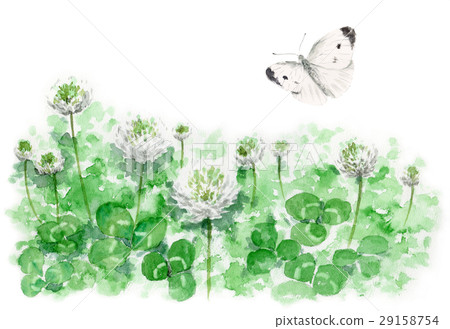 三葉草領域和monstrochium 三葉草領域和monstrochium 29158754