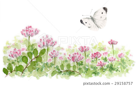 黃芪田和monstrochium 黃芪田和monstrochium 29158757