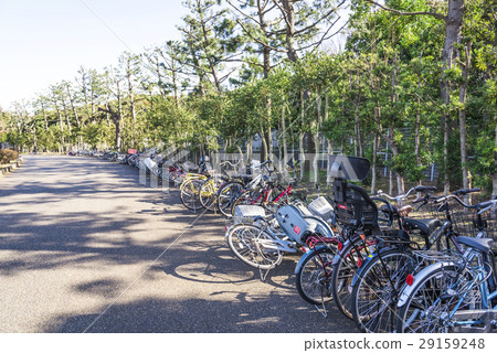 一輛倒下的自行車 29159248