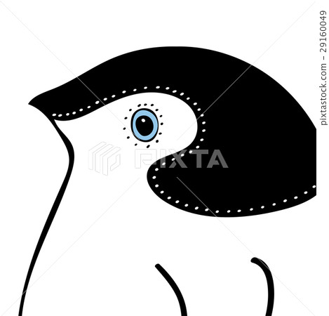 Penguin Cute animal head funny cartoon Penguin Cute animal head funny cartoon 29160049