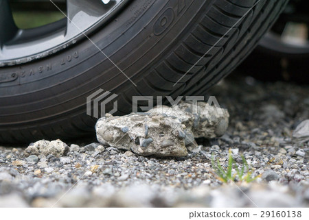 一個輪子塞子 29160138