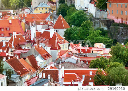 View to old Tallinn 29160930