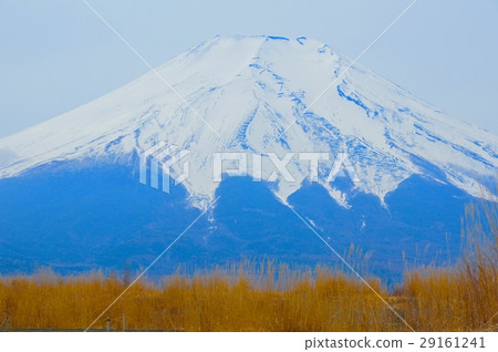 富士山（北富士演習區/山梨縣富士吉田市·山中湖村·忍野村） 29161241