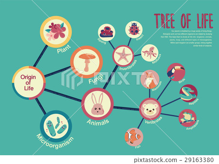 Tree of life 29163380